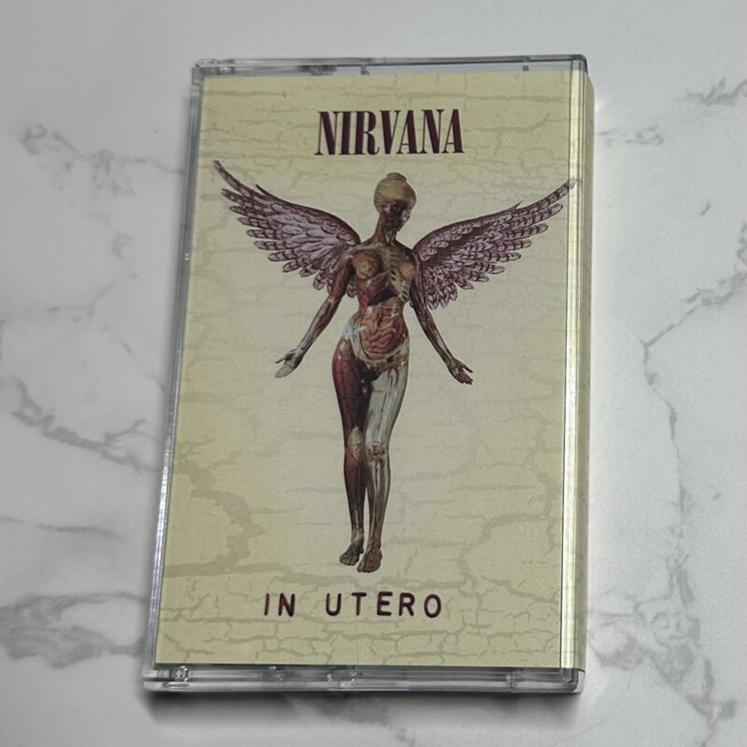 Nirvana Complete Album Collect - Home Cinema In avis et prix