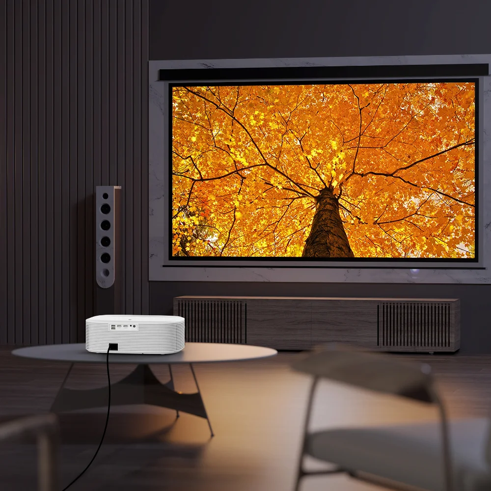 High Quality High Definition M - Home Cinema Projector Screen avis et prix
